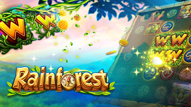 Rainforest-Vines extend to the next, get more wild symbols to win a high score-669x376